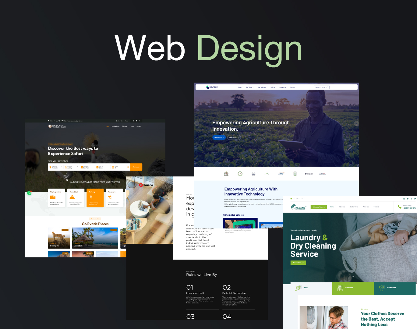 Website Design